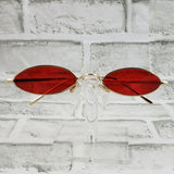 "Sassy" Sunglasses
